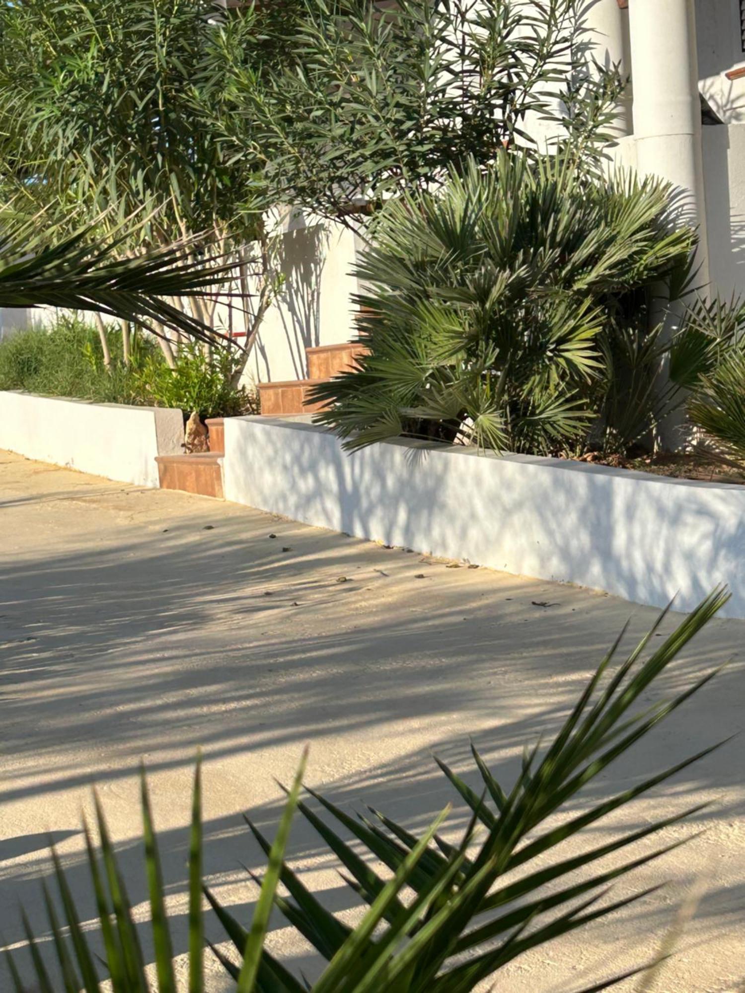 Oasi Di Casablanca