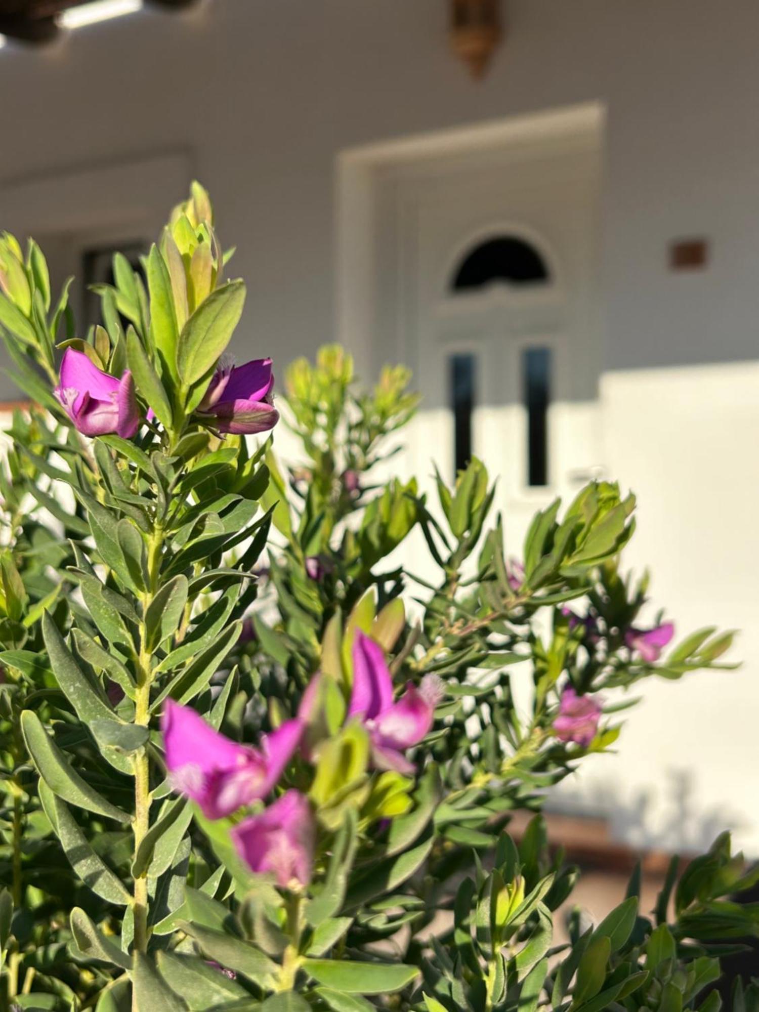 Oasi Di Casablanca Hotel Lampedusa