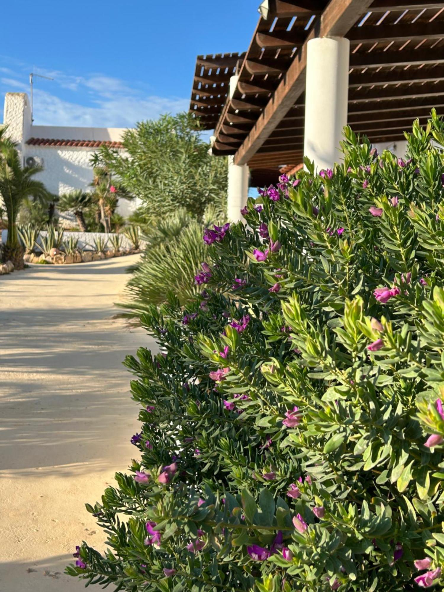 Oasi Di Casablanca Hotel Lampedusa