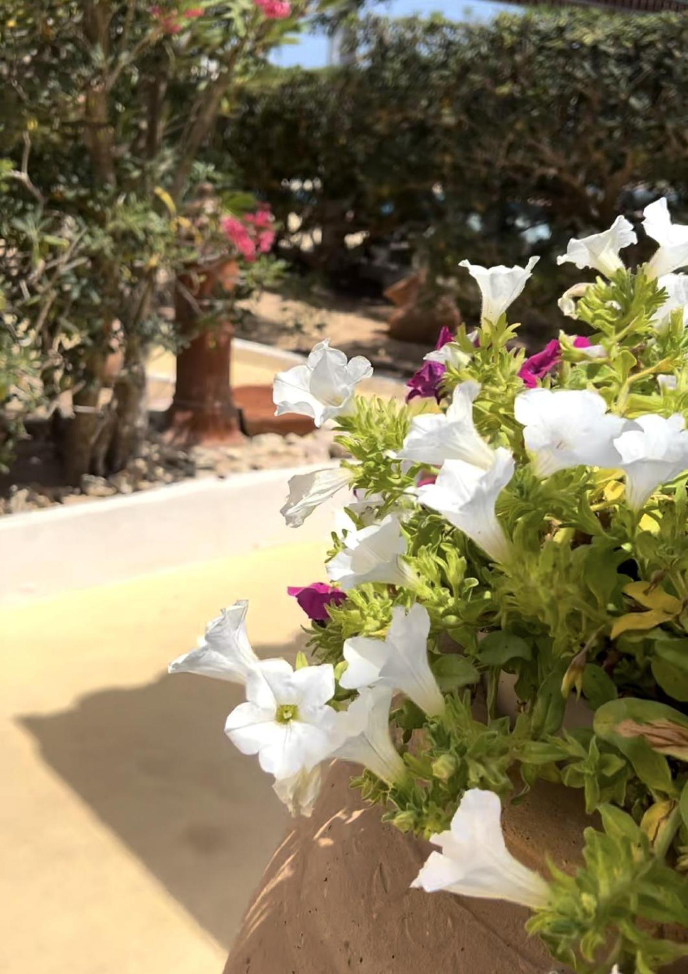 Oasi Di Casablanca 3* Lampedusa