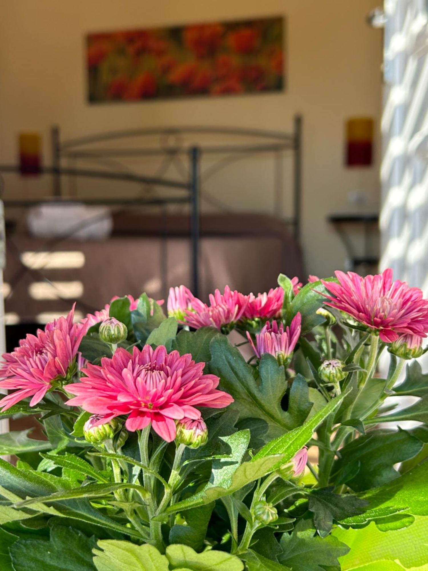 Hotel Oasi Di Casablanca Lampedusa